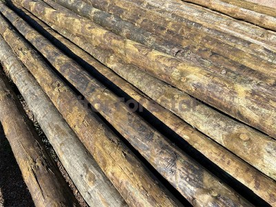 PUNTALS DE FUSTA 497